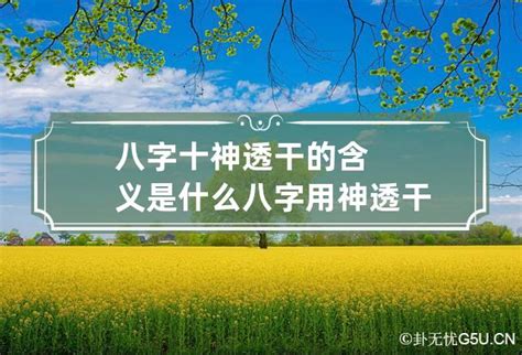 透干 意思|八字中什么是透干 (八字的透干与通根全解)